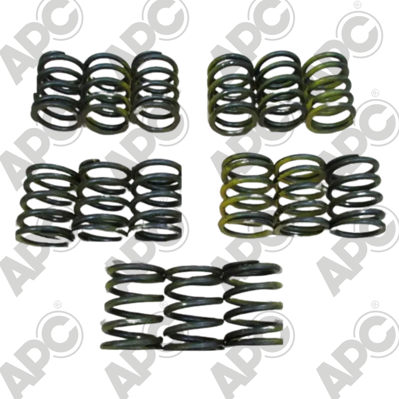APC 1007 SPRING KIT GB 75/380D
